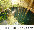2893376