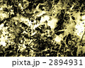 2894931