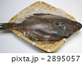 鮮魚　カレイ　横位置
