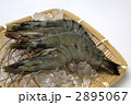 ブラックタイガー　海老　横位置