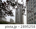 東京都庁