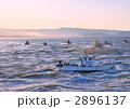 出漁-18228