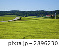 リート村の田園風景