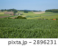 リート村の田園風景