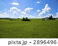 ボヘミア地方の田園風景