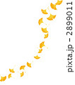 2899011