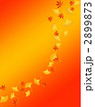 2899873