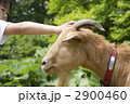 よしよし