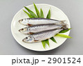 鰯