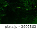 2902382