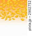2902752