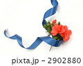 オレンジ色の花