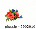 オレンジ色の花