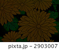 2903007