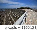 青島の洗濯板