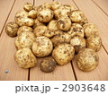 収穫　土付きじゃがいも