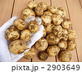 収穫　じゃがいも