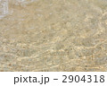 2904318