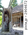 世界文化遺産　毛越寺