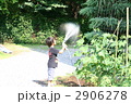 水遣り当番