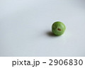 2906830