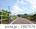 サイクリングロード