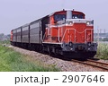 2907646