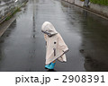 2908391