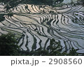 棚田