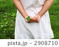 しあわせの四葉