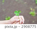 ハートの三ッ葉