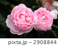 セプタード・アイル