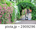 薔薇のある風景