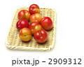 プラム