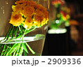黄色い薔薇