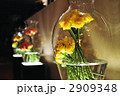 黄色い薔薇