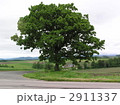 2911337