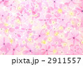 紫陽花の花びら