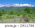 初夏の信州　乗鞍高原と乗鞍岳遠望