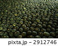 かぼちゃの収穫