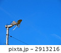 2913216