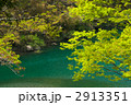 新緑の天竜川