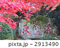 香嵐渓の秋