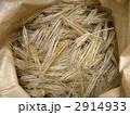六条大麦