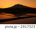 水田と岩木山