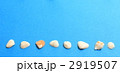 貝殻の列
