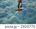2920770