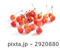 さくらんぼ
