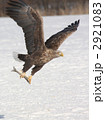 2921083