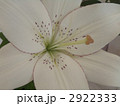 アイライナー